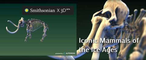 3dcarbing