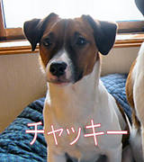 チャッキー