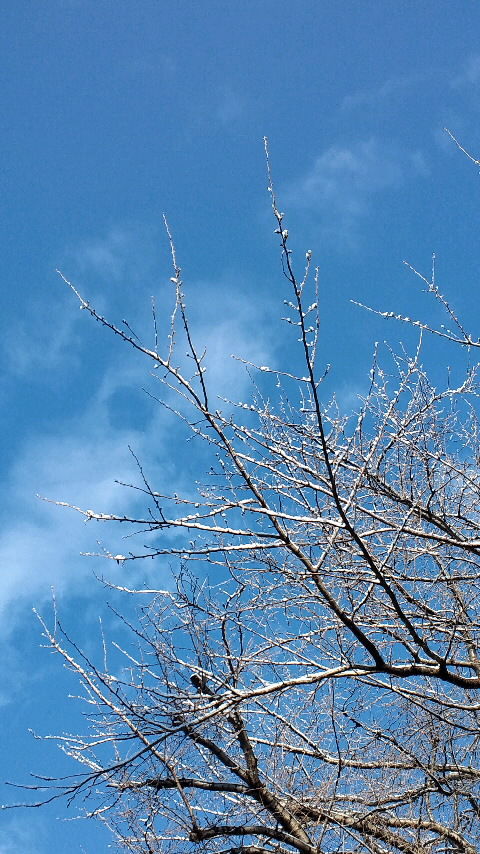 e1276f11.jpg