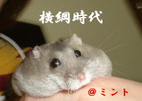 ミント黄金時代