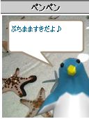 �ڥ�ڥ���������衼