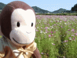 032c6b28.gif