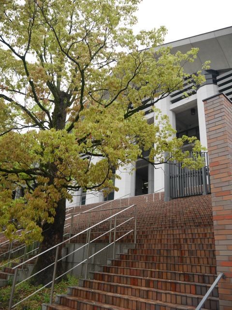 kyoto1
