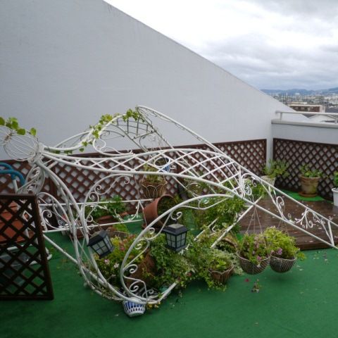 typhoon1