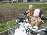 cycling