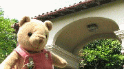 tabitha