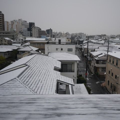 snow1