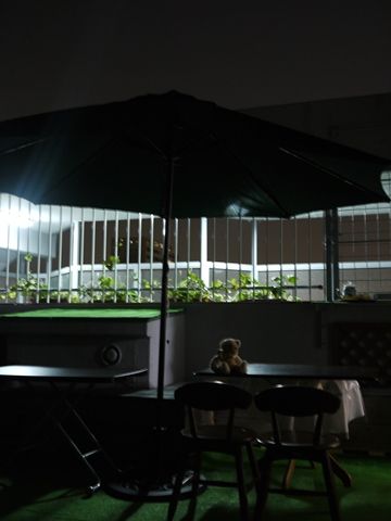 parasol3