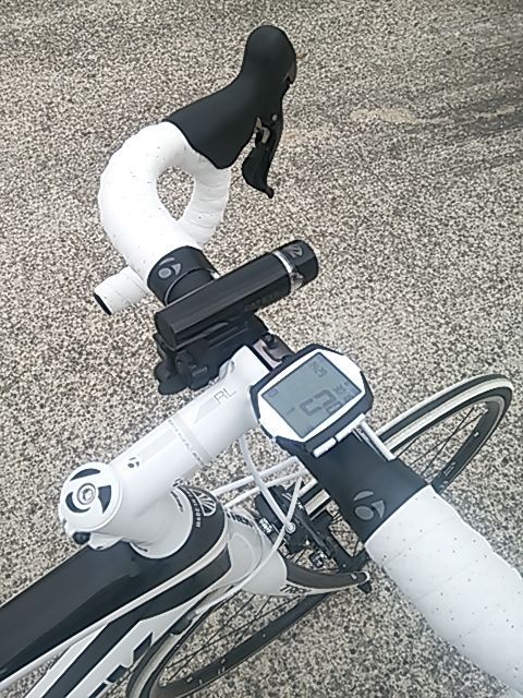 domane4