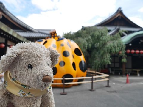 kusama_170820 (5)