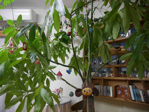 cristmas_161223 (6)