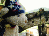 waterwheel