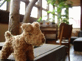 387ca429.gif
