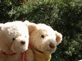 3fbb6a29.gif