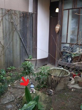 kyoto5