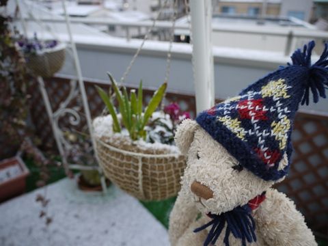 snow3