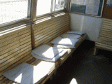 bench