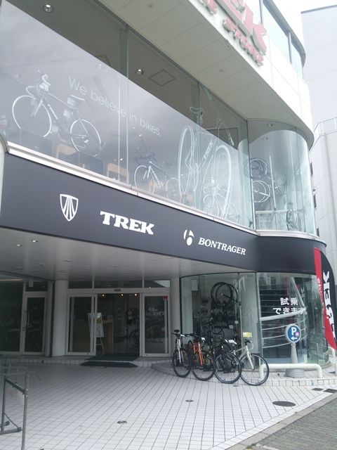 domane1