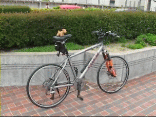 cycle3
