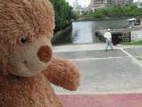 duck4