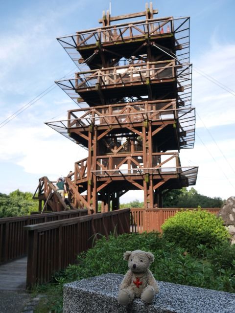 cosmos_161010 (4)
