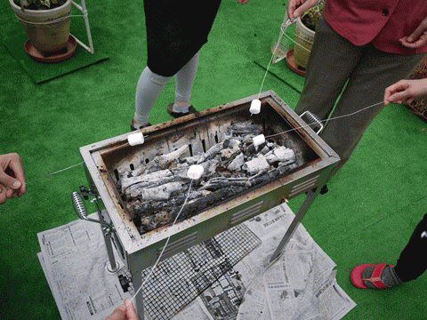 BBQ5