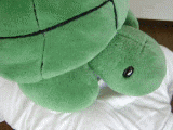 5acb76a2.gif