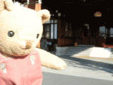 603fa2fc.gif