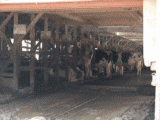farm2
