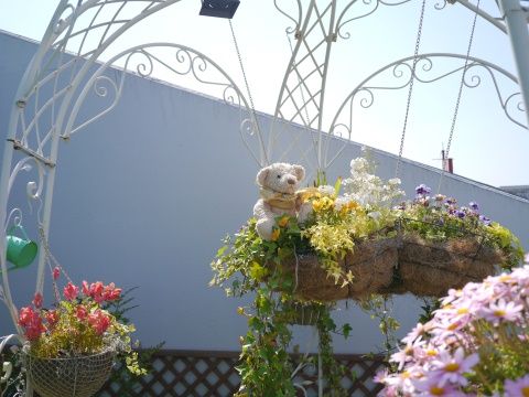flower1
