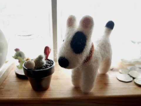 yomowanko_180319 (6)