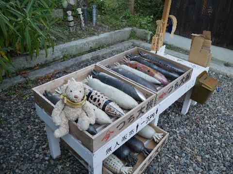 biwako_161106 (10)
