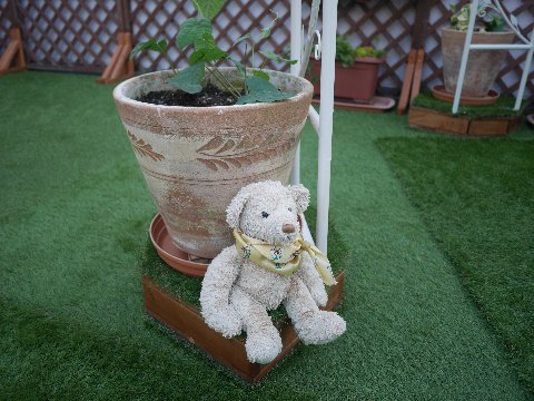 renewal_170430 (5)