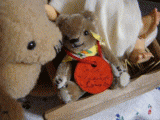 6e02d352.gif