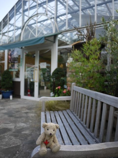 garden1