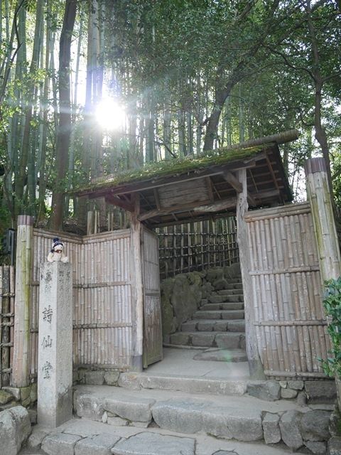 koyo3