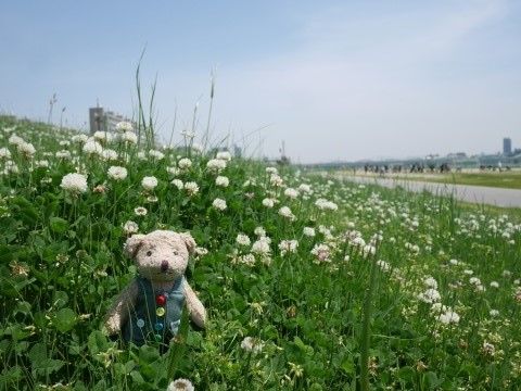 chipi01_160501 (1)