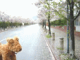 7952b5f4.gif