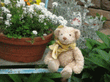garden1