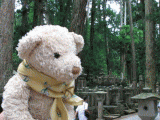 koya3
