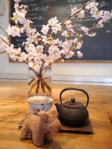 sakura6