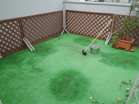 wooddeck1