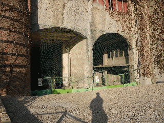 tegarayama3
