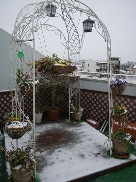 snow2