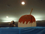 97953a11.gif