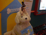 sox