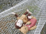 hammock