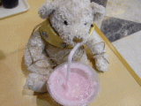 cookieyogyu