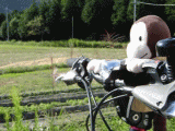 ride