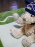 a0d0da06.gif